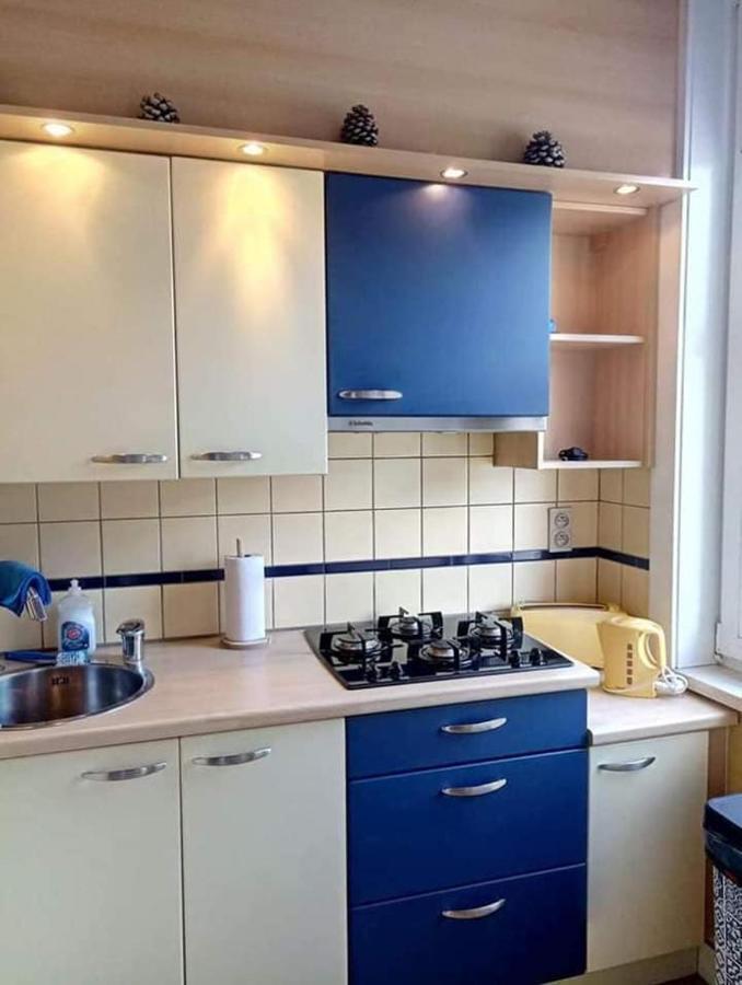 Villa Jean Gezellig Appartement Met Zeezicht ブランケンベルヘ エクステリア 写真